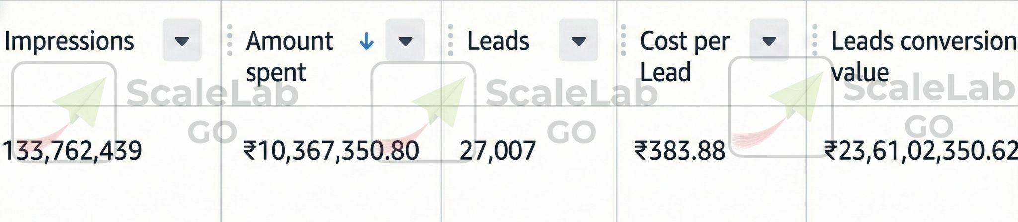 Paid media performance overview